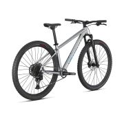 Bicicleta SPECIALIZED Rockhopper Expert 29 - Silver Dust/Black Holographic XL