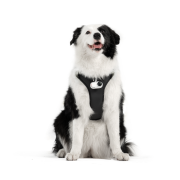 Ham de prindere pentru animale Insta360 - mărimea L