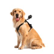 Ham de prindere pentru animale Insta360 - mărimea L