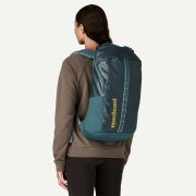 Rucsac Patagonia Black Hole Pack 25L - verde petrol cu roz