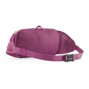 Borsetă Patagonia Terravia Hip Pack 5L roz - versatilă outdoor