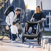 Remorcă Thule Courier 2 copil/opțional transport câine/marfă verde