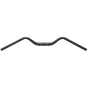 Ghidon Ritchey Mtn Comp Kyote 800/31,8 mm bb black