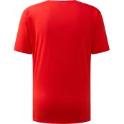 Haglöfs L.I.M Ridge Tee – Tricou tehnic ușor - Roșu Tech Red