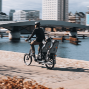 Scaun bicicleta copii THULE Yepp Nexxt 2 Maxi cu montare in spate - Dark Slate