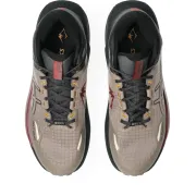 Pantofi trail ASICS GEL-Trabuco MT GTX - gri Taupe Grey | Grey | impermeabili
