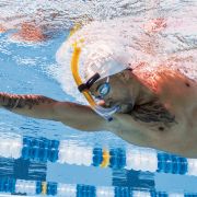 Finis Snorkel adulti