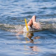 Finis Snorkel adulti