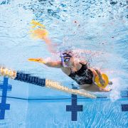 Finis Snorkel Glide adulti albastru