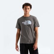 Tricou The North Face Evolution Half Dome Regular Tee pentru bărbați - verde New Taupe Green | Circular Design