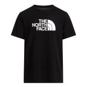 Tricou The North Face Evolution Half Dome Regular Tee pentru bărbați - negru Black | White | Circular Design