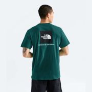 Tricou The North Face Evolution Box NSE Regular pentru bărbați - verde petrol Pacific Teal | poliester reciclat
