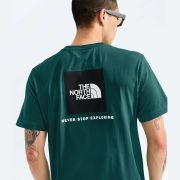 Tricou The North Face Evolution Box NSE Regular pentru bărbați - verde petrol Pacific Teal | poliester reciclat