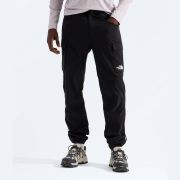 Pantaloni cargo The North Face Exploration pentru bărbați - negru Black | FlashDry™