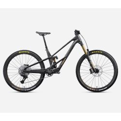 Orbea RALLON RS-TEAM (2027) - bicicletă electrică eMTB Trail - Fuel Carbon View  |  Magic Gold (Matt)