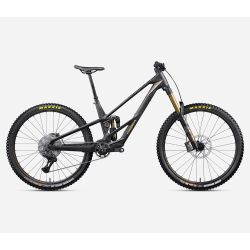 Orbea RALLON RS-LTD (2027) - bicicletă electrică eMTB Trail - Fuel Carbon View  |  Magic Gold (Matt)