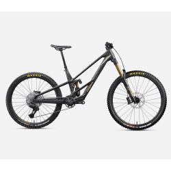 Orbea RALLON RS-TEAM MULLET (2027) - bicicletă electrică eMTB Trail - Fuel Carbon View  |  Magic Gold (Matt)