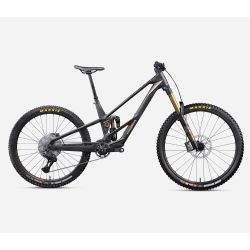 Orbea RALLON RS-LTD MULLET (2027) - bicicletă electrică eMTB Trail - Fuel Carbon View  |  Magic Gold (Matt)