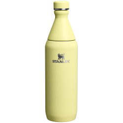 Sticlă termoizolantă Stanley All Day Slim Bottle 0.59L - Pomelo