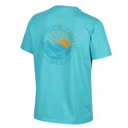 INOV8 Graphic Tee SS 2003 W – Tricou din bumbac organic cu imprimeu - Verde