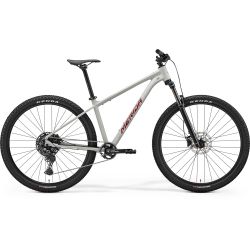 Merida Big.Nine 200 Mat gri (lucios cireașă)