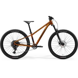 Merida Matts J.Champion Miere sălbatică (Negru)