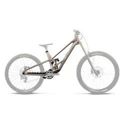 Orbea RALLON 450 DH (2027) - cadru MTB Downhill full suspension - Nickel