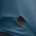 Tricou TSG Plain L/S - Blue