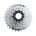 Pinioane pe caseta Shimano HG41 7v 11-28T