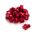 Pini pedale Reverse set pentru Escape rosu