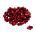 Pini pedale Reverse set 24 bucati rosii