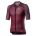 Castelli - tricou ciclism pentru barbati Climbers 3.0 - visiniu sangria