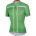 Castelli Velocissimo Kit Tricou cu maneca scurta-verde