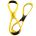 Finis Fulcrum Antebrat adulti