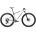 Bicicletă MTB XC hardtail Orbea ALMA M-LTD - Digital Lavender (Gloss) | Carbon Raw (Matt)