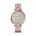 Garmin - Lily Sport - rama Crean Gold cu carcasa Dust Rose si bratara din silicon - ceas inteligent