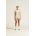 Tricou antrenament Craft Collective SS Tee - maro | poliester reciclat