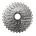 Pinioane pe caseta Shimano Deore CS-HG50-10 10 viteze 11-36T (KCSHG5010136), vrac