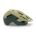 Casca ciclism MET Terrae Mips - verde fistic mat