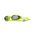 Ochelari înot TYR Hydra Flare - verde lime | DURAFIT, protecție UV