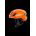 Casca copii POC POCito Omne Mips - Fluorescent Orange