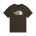 Tricou The North Face Evolution Half Dome Regular Tee pentru bărbați - verde New Taupe Green | Circular Design