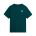 Tricou The North Face Evolution Box NSE Regular pentru bărbați - verde petrol Pacific Teal | poliester reciclat