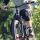Genunchiere TSG Tahoe A - Black
