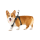 Ham pentru animale Insta360 Pet Harness Mount GO Ultra - mărimea M