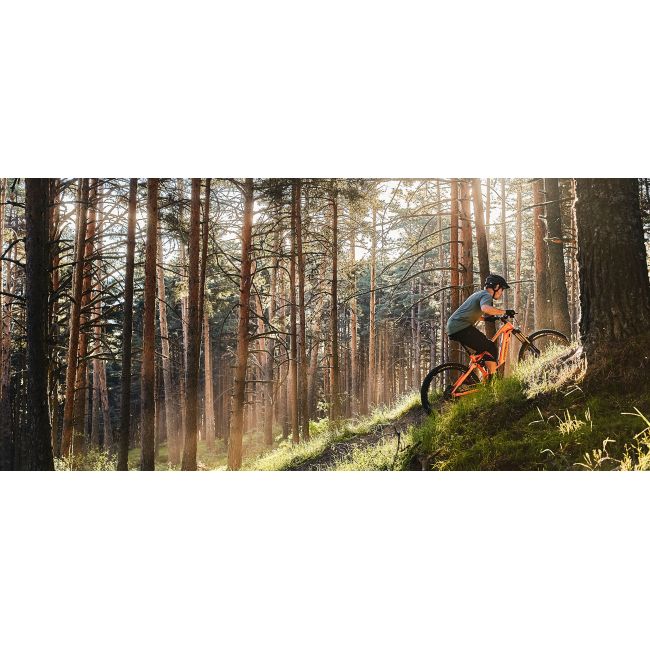 Orbea Wild FS M-TEAM - bicicleta electrica full suspension 29" carbon - alba
