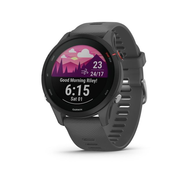 Garmin - Forerunner 255 ceas multisport cu GPS - gri