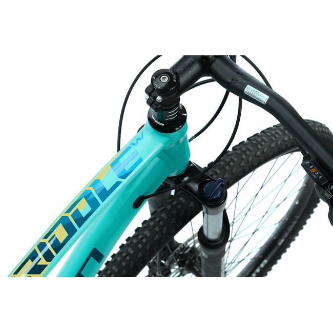 Bicicleta Mtb Devron RW1.9 - 29 Inch, M, Turcoaz
