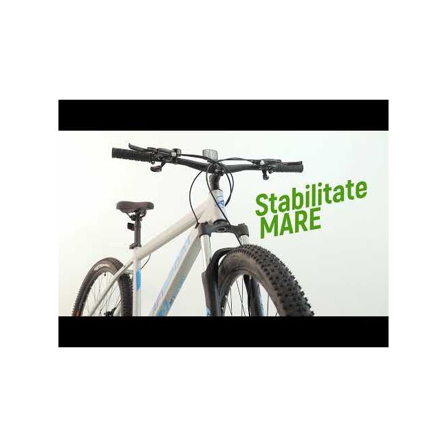 Bicicleta Mtb Afisport M2 - 29 Inch, XL, Argintiu