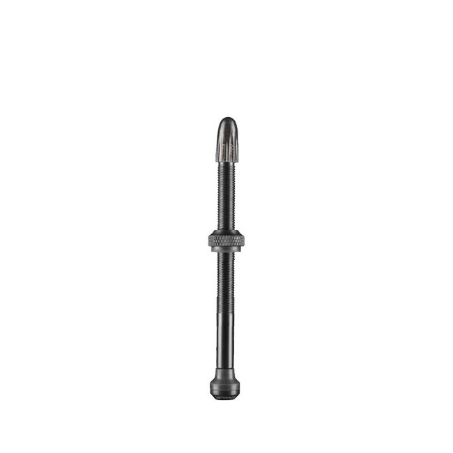 Ventil SCHWALBE Tubeless (Set)